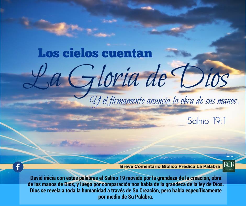 «TE AMO SEÑOR JESUCRISTO»